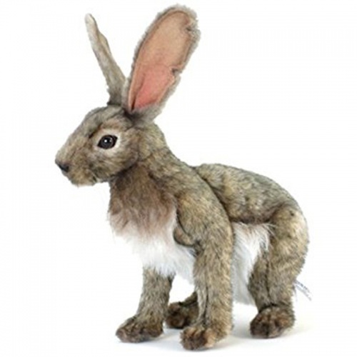 Jack Rabbit Plush Soft Toy by Hansa
